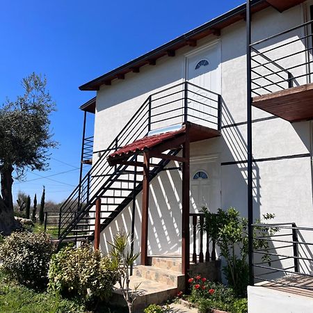 Vila Ari Borsh Exterior photo