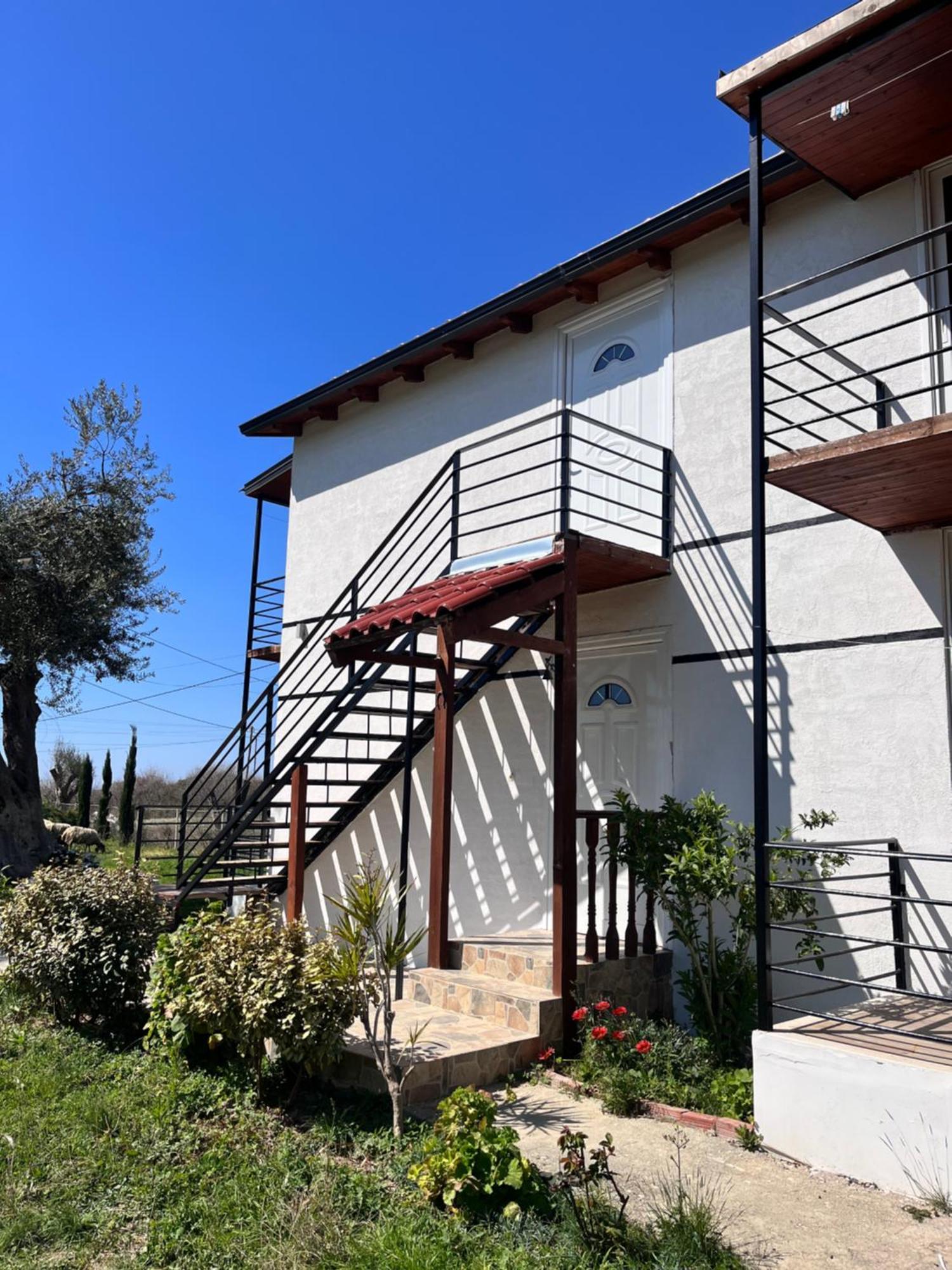 Vila Ari Borsh Exterior photo